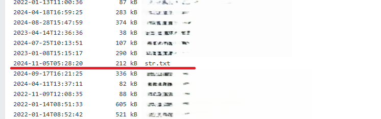 Screenshot_2024-12-21_174700