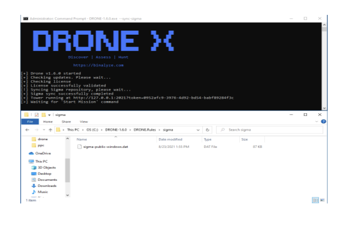Sigma public repository synchronization